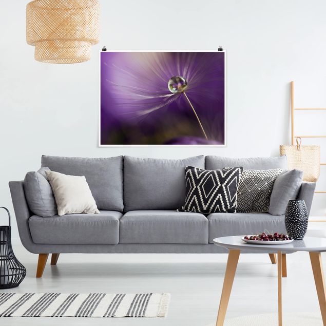 Schöne Wandbilder Pusteblume in Violett