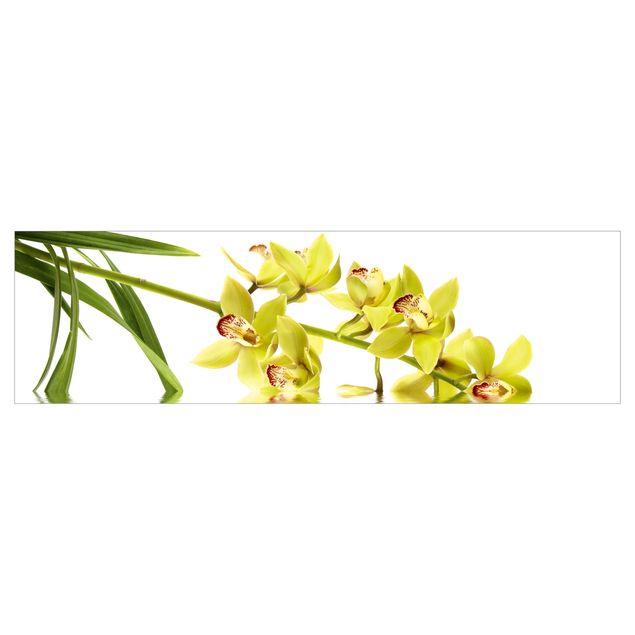 Spritzschutz Weiß Elegant Orchid Waters
