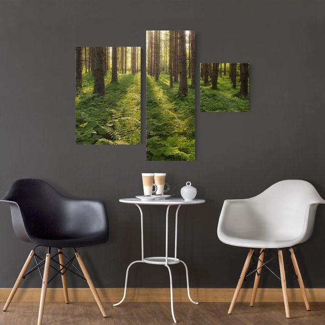Leinwandbilder Natur Sonnenstrahlen in grünem Wald