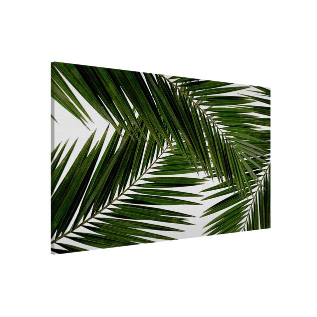Magnettafel Büro Blick durch grüne Palmenblätter