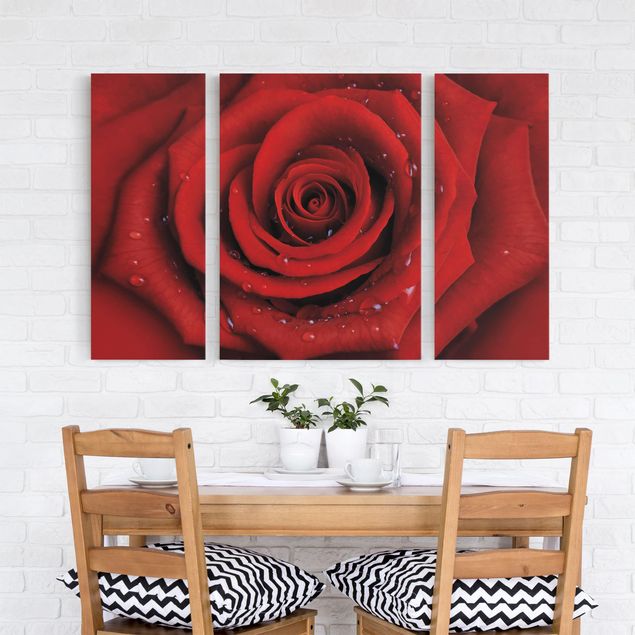 Wandbilder Rosen Rote Rose mit Wassertropfen