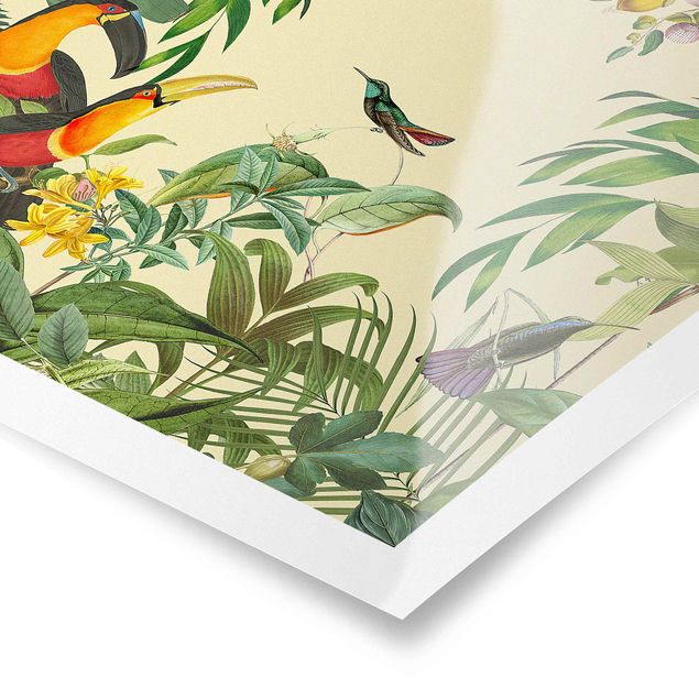Wandbilder Vintage Collage - Vögel im Dschungel
