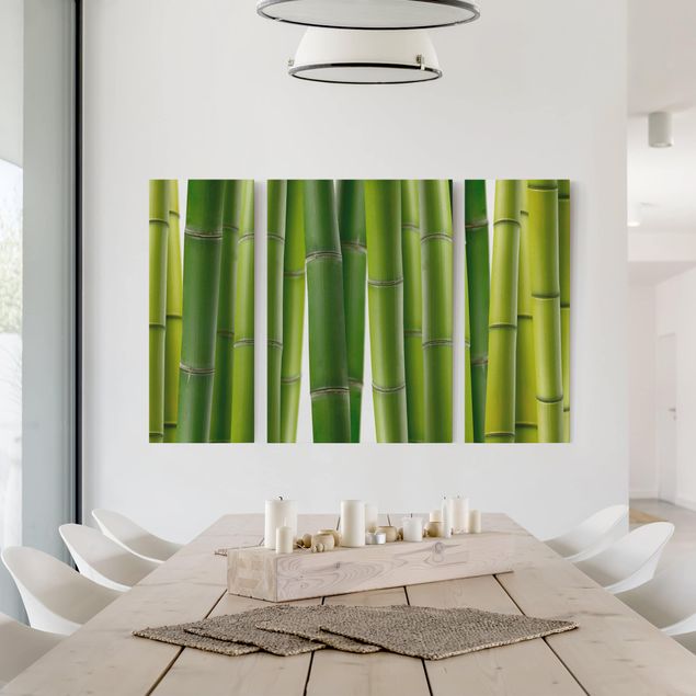 Leinwandbilder Natur Bambuspflanzen
