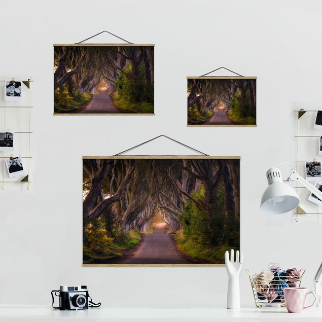 Stoffbild mit Posterleisten - Tunnel aus Bäumen - Querformat 3:2