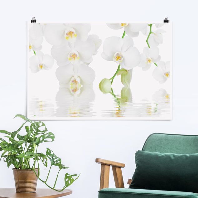 Blumen Poster Wellness Orchidee - Weiße Orchidee