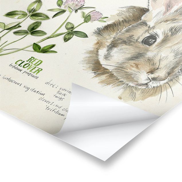 Poster bestellen Wildnis Journal - Kaninchen
