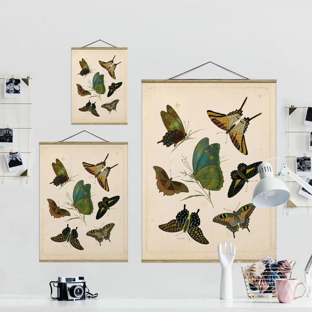 Stoffbild mit Posterleisten - Vintage Illustration Exotische Schmetterlinge - Hochformat 3:4