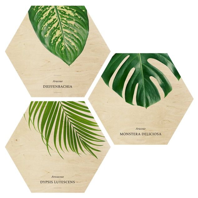Wandbild Holz Tropische Blätter