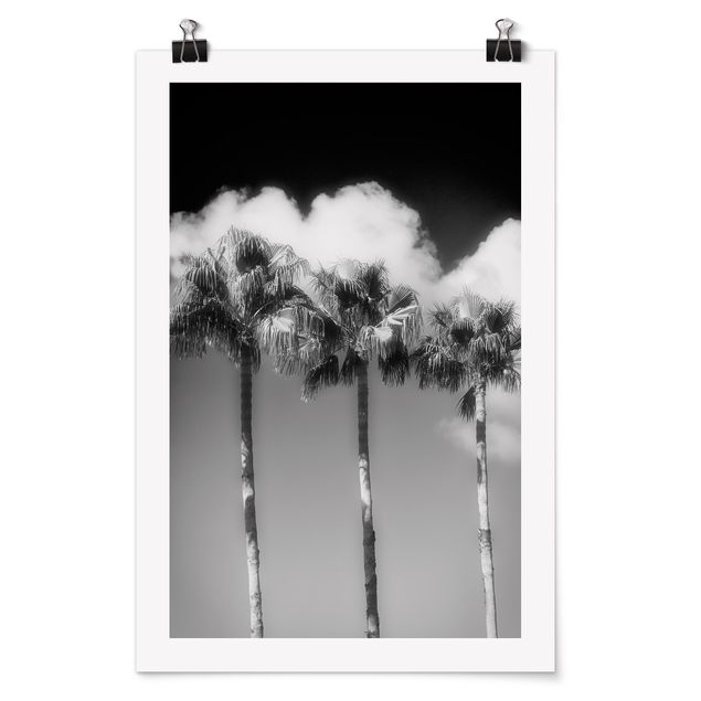 Schöne Wandbilder Palmen vor Himmel Schwarz-Weiß