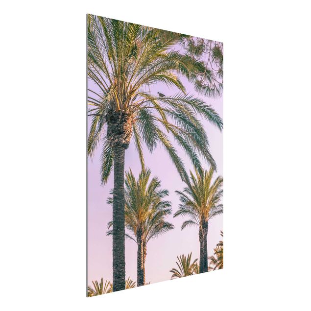 Wandbilder Palmen im Sonnenuntergang