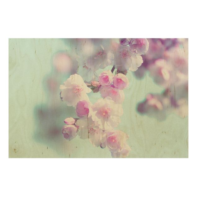Holzbild - Farbenfrohe Kirschblüten - Querformat