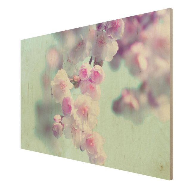 Holzbild - Farbenfrohe Kirschblüten - Querformat