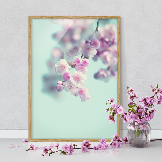 Gerahmte Bilder Blumen Farbenfrohe Kirschblüten