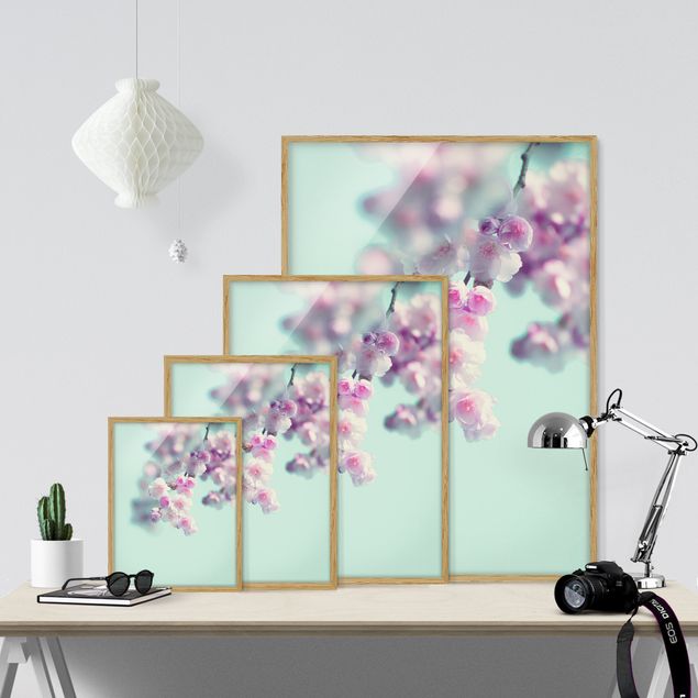 Bild mit Rahmen - Farbenfrohe Kirschblüten - Hochformat