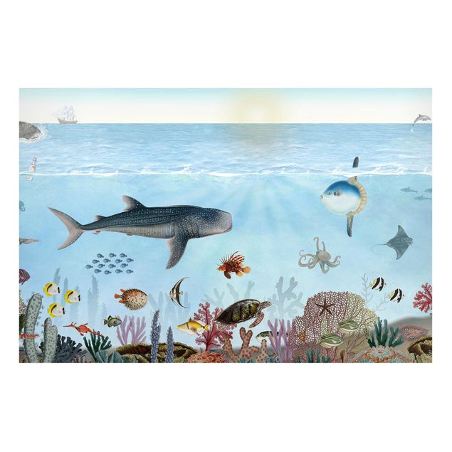 Wandbilder Tiere Faszinierende Kreaturen am Korallenriff