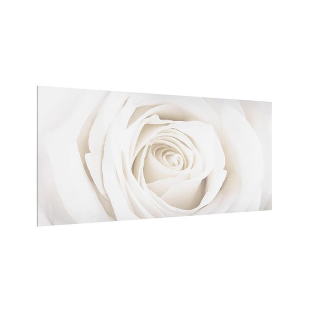 Spritzschutz Landhausstil Pretty White Rose