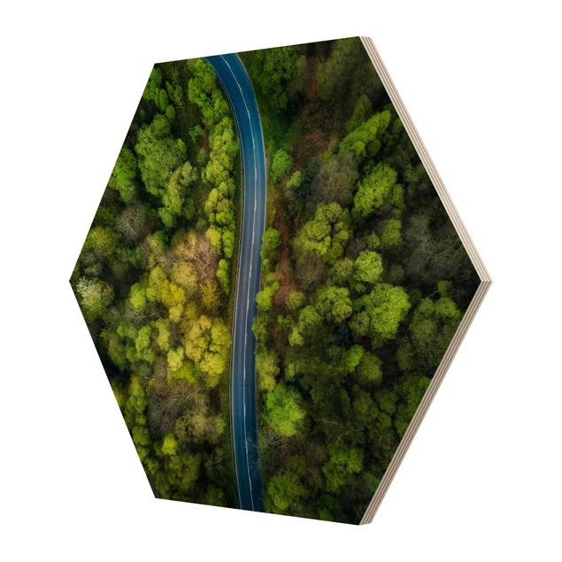 Hexagon Bild Holz - Luftbild - Asphaltstraße im Wald