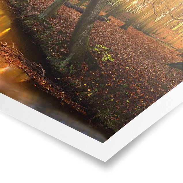 Poster - Autumn Fairytale - Panorama Querformat