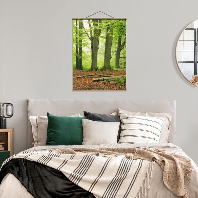 Stoffbilder mit Holzleisten Mighty Beech Trees