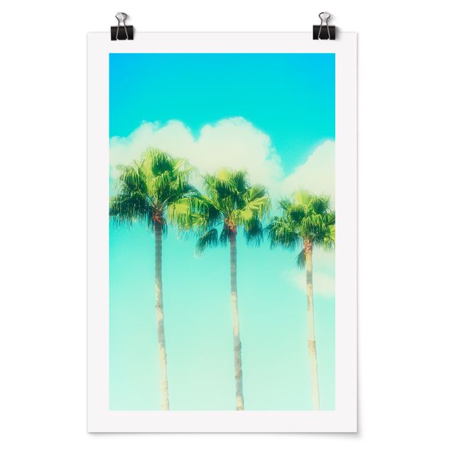 Poster bestellen Palmen vor Himmel Blau