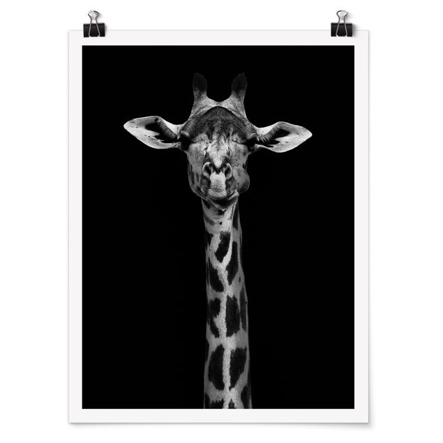 Wandbilder Dunkles Giraffen Portrait