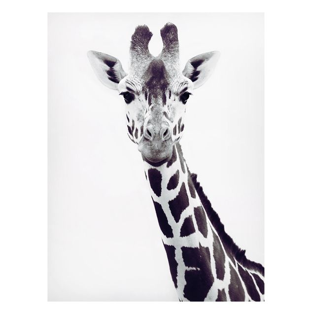 Magnettafel Büro Giraffen Portrait in Schwarz-weiß