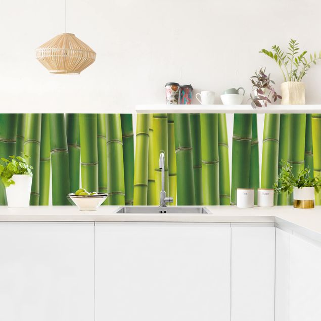 Küchenrückwand Bäume Bambuspflanzen I