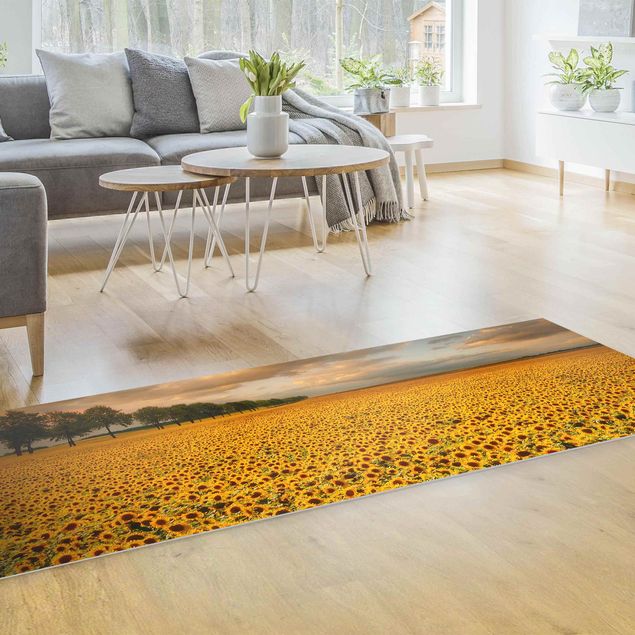 Teppiche Feld mit Sonnenblumen