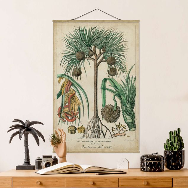 Schöne Wandbilder Vintage Lehrtafel Exotische Palmen I