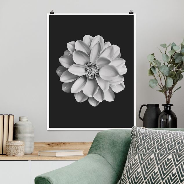 Blumen Poster Dahlie Schwarz Weiß