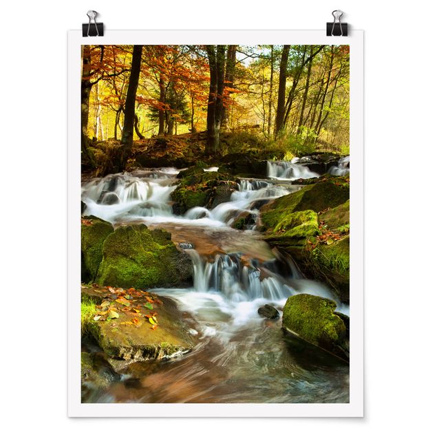 Poster - Wasserfall herbstlicher Wald - Hochformat 3:4