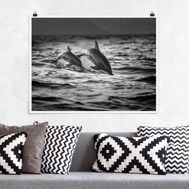 Wandbilder Tiere Zwei springende Delfine