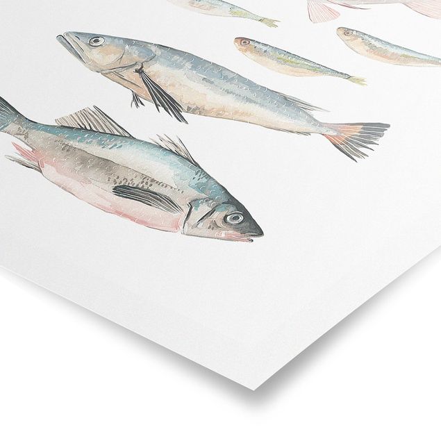 Schöne Wandbilder Sieben Fische in Aquarell II