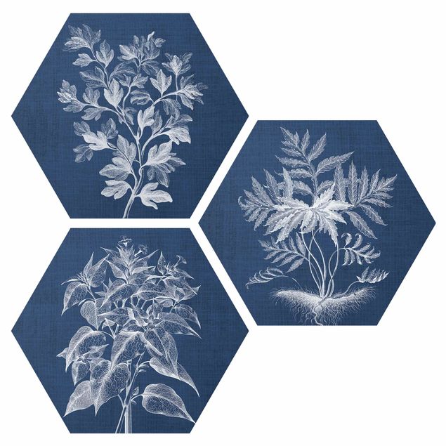 Hexagon Bild Alu-Dibond 3-teilig - Denim Pflanzenstudie Set I
