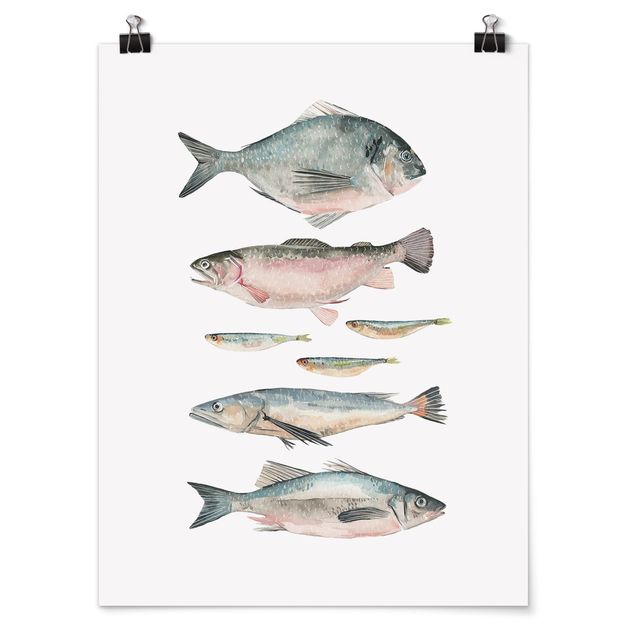 Poster Aquarell Sieben Fische in Aquarell II