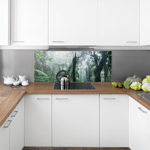 Küchenrückwand Glas Motiv Wald Monteverde Nebelwald