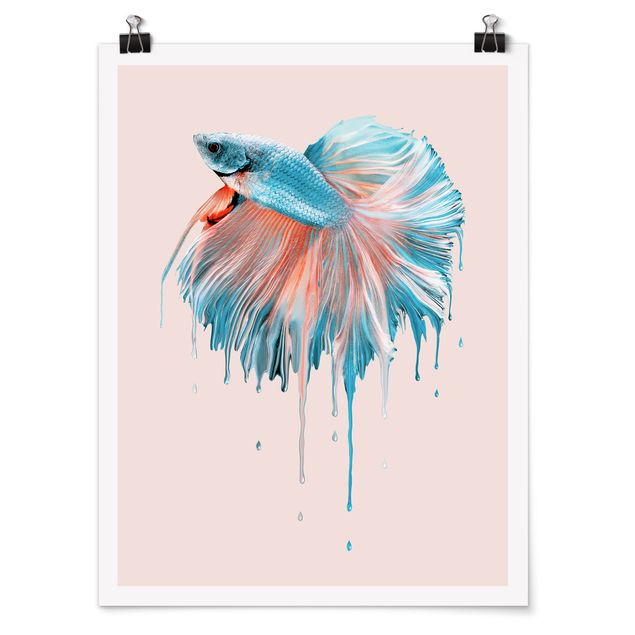 Tiere Poster Schmelzender Fisch