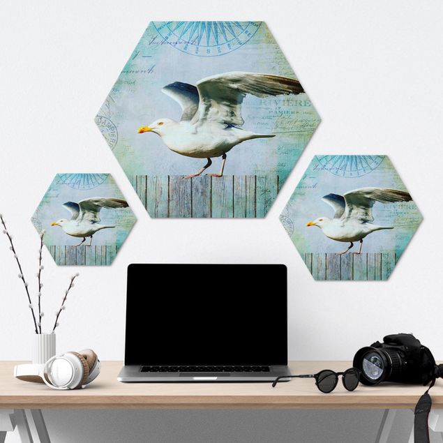 Hexagon Bild Alu-Dibond - Vintage Collage - Seemöwe auf Holzplanken