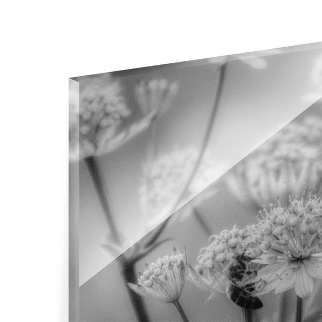 Glasbild - Federleichte Wildblumen II - Panorama 5:2