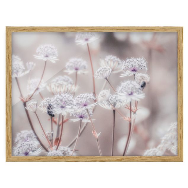 Bild mit Rahmen - Federleichte Wildblumen - Querformat