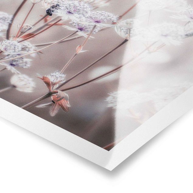Poster - Federleichte Wildblumen - Quadrat 1:1