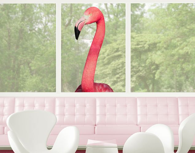 Fensterfolie Motiv Tiere Neugieriger Flamingo