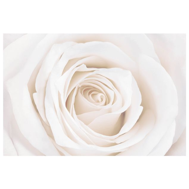 Fensterfolie Gräser Pretty White Rose