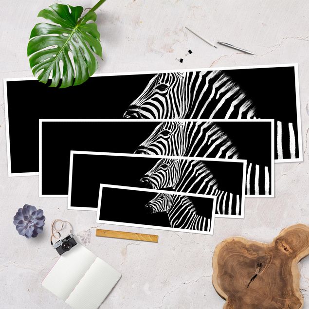 Poster - Zebra Safari Art - Panorama Querformat