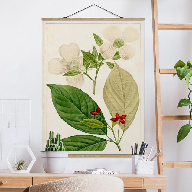 Schöne Wandbilder Tableau Blatt Blüte Frucht III