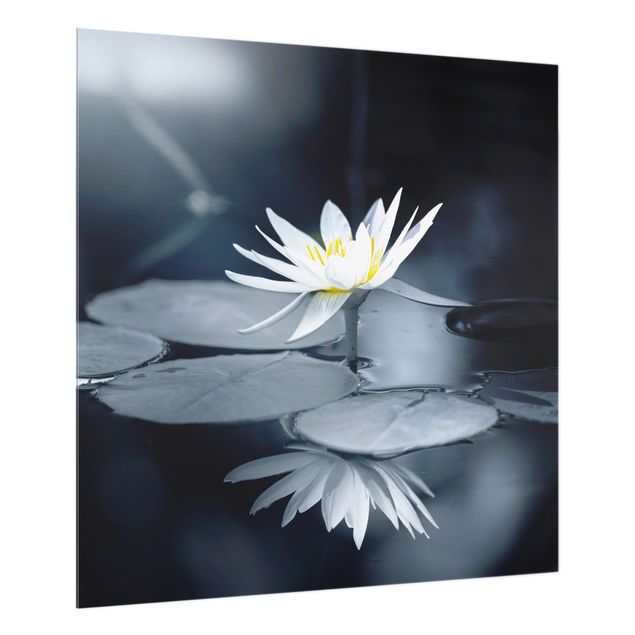 Küchenspritzschutz Lotus Spiegelung im Wasser