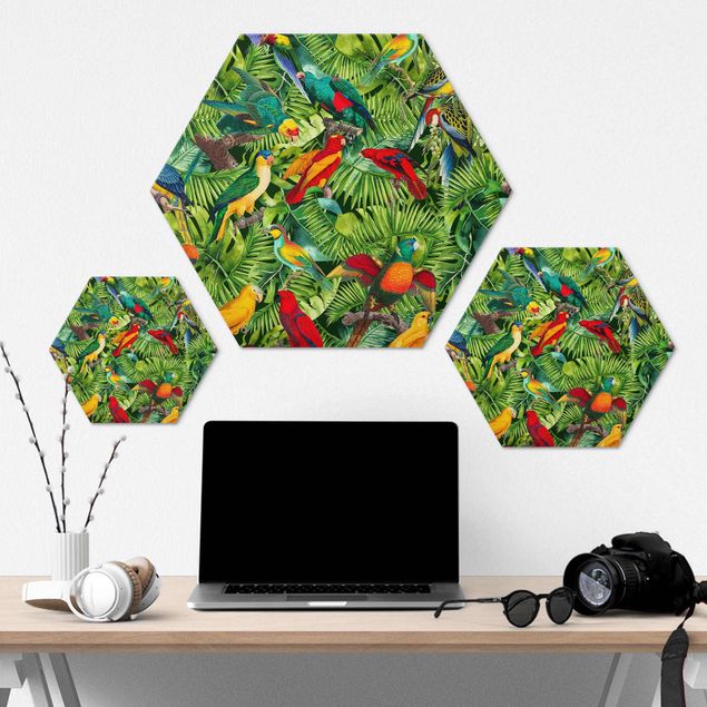 Hexagon Bild Alu-Dibond - Bunte Collage - Papageien im Dschungel