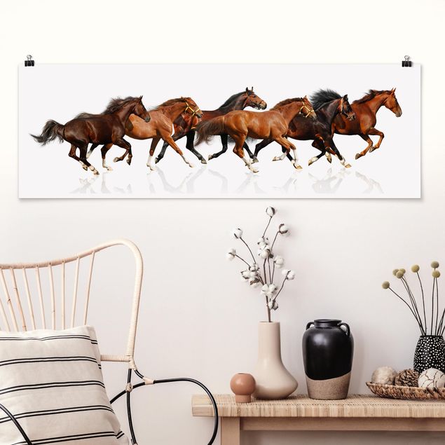 Wandbilder Tiere Pferdeherde
