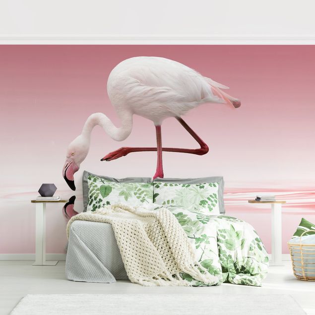 Fototapete - Flamingo Dance