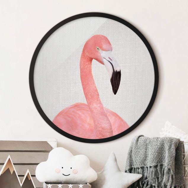 Bild rund Flamingo Fabian